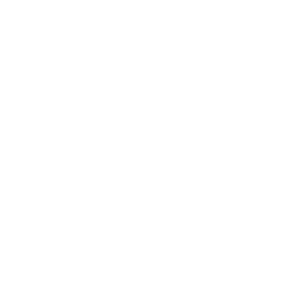home icon palen24